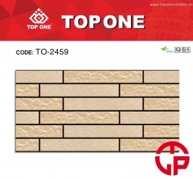 Gạch 20x40 TOP TO-2459