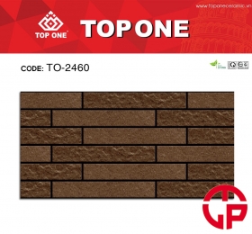 Gạch 20x40 TOP TO-2460