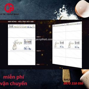 mau-gach-op-tuong-30x60-trang-van-may-pak-k362