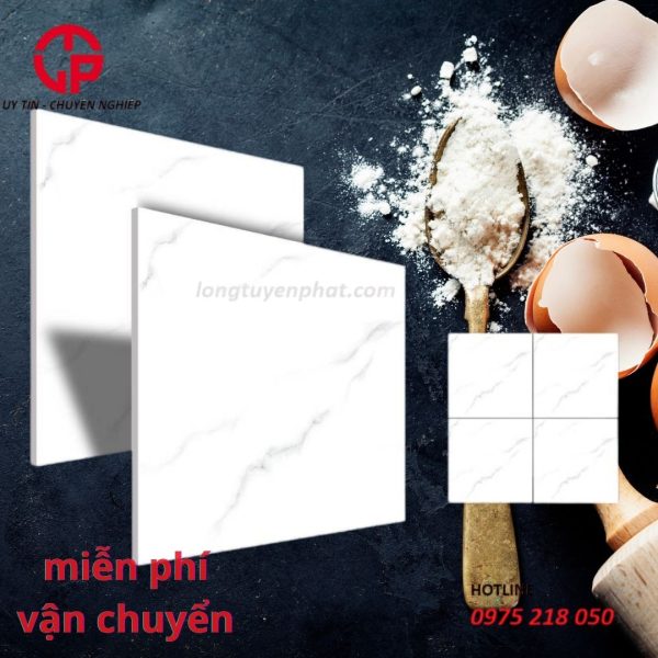 148k gach 60x60 nhl mt6154.jpg