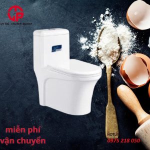 Bồn cầu Cary