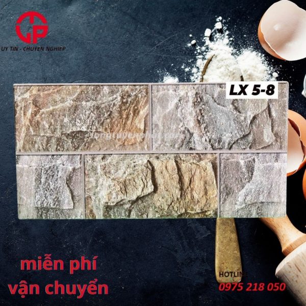 176k gach 25x50 thanhthanh fico  lx 5 8