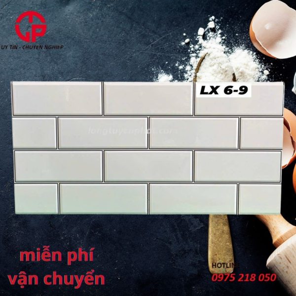 176k gach 25x50 thanhthanh fico  lx 6 9