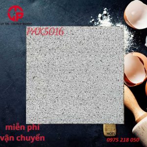 Gạch lát 50x50