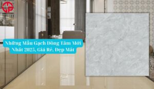 mẫu gạch đồng tâm mới nhất