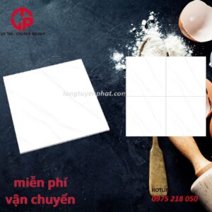 Gạch lát nền granite 80x80