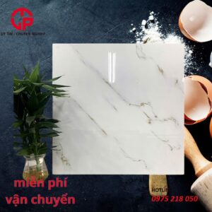 157K-gach-60x60-CTL-6076