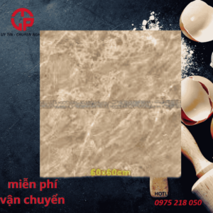 165K-gach-60x60-hoang-ha-cz6506