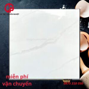 165K-gach-60x60-npg-sg6606-van-xanh-ghi