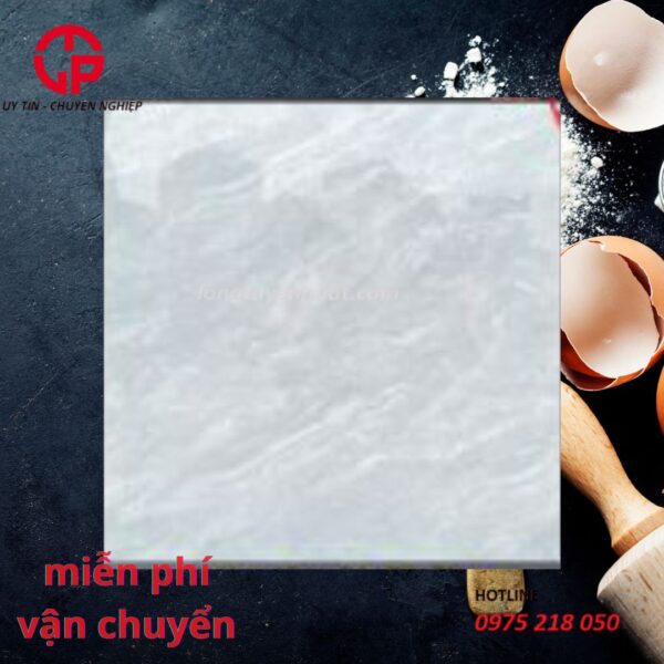 165K-gach-60x60-npg-sg6608-van-xam-nhat