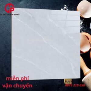 178K-gach-80x80-NHL-MT80434