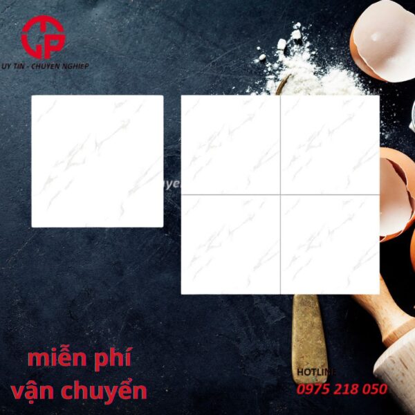 Gạch lát nền 50x50 NTK Long Thành THP5501