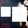 Gạch lát nền 50x50 NTK Long Thành THP5502