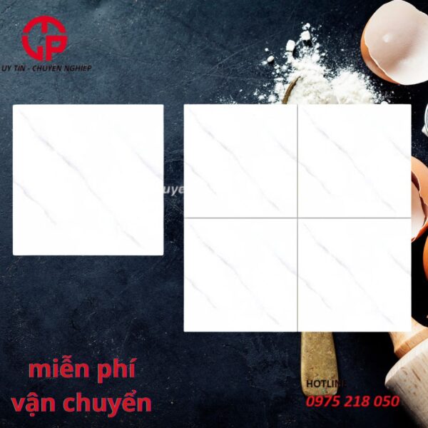 Gạch lát nền 50x50 NTK Long Thành THP5502
