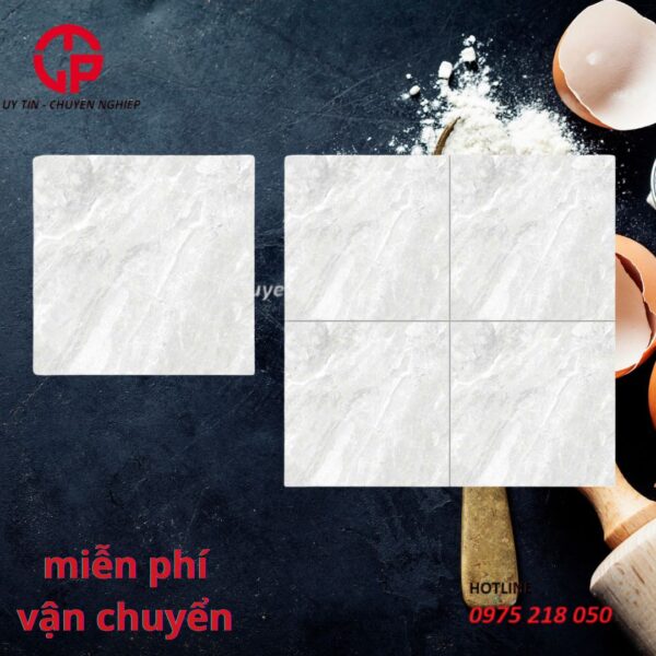 Gạch lát nền 50x50 NTK Long Thành THP5504