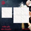Gạch lát nền 50x50 NTK Long Thành THP5505