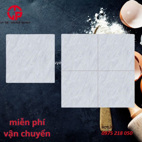 Gạch lát nền 50x50 NTK Long Thành THP5506