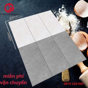 150k-gach-nham-lat-nen-30x60-Fico-FB362