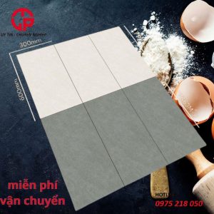 150k-gach-nham-lat-nen-30x60-Fico-FB363