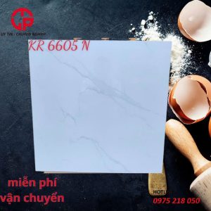 150k-kich-thuoc-gach-lat-nen-60x60-NLP-KR6605N