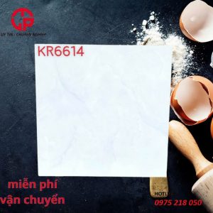 150k-mau-gach-lat-nha-60x60-NLP-KR6614