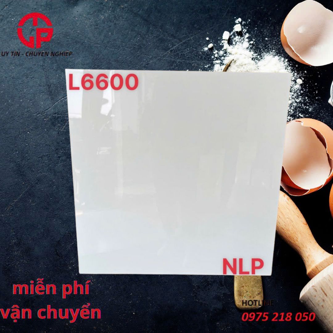 Mẫu Gạch trắng trơn khong vân 60x60 NLP L6600 3 150k-mau-gach-trang-tron-khong-van-60x60-NLP-L6600