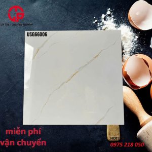 155k-gach-lat-nen-co-may-loai-60x60-Unimax-66006