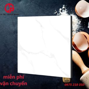 155k-gach-lat-nen-dep-60x60-CP-JP6661