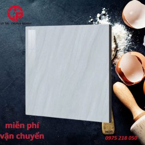 155k-gach-lat-nen-dep-60x60-CP-JP6664