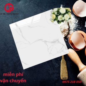 155k-mau-gach-lat-nha-6060-TK6637