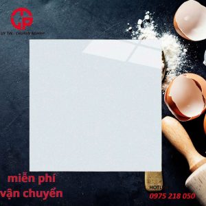 160k-cac-mau-gach-lat-nen-phong-khach-dep-60x60-CTL-60087