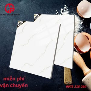 160k-gach-lat-nen-60x60-BT-L6619N