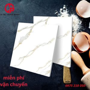 160k-gach-lat-nen-60x60-BT-TQA-66601