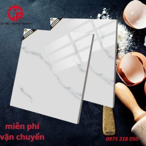 160k-gach-lat-nen-60x60-BT-TQA6601N