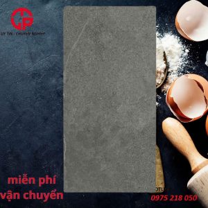 180k-gach-nham-matt-300x600-Viet-Y-36008