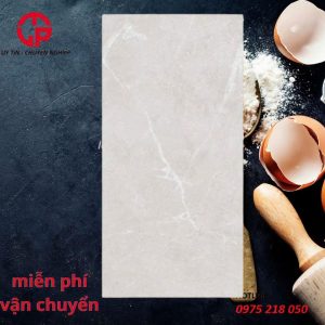 180k-gach-nham-matt-300x600-Viet-Y-36011