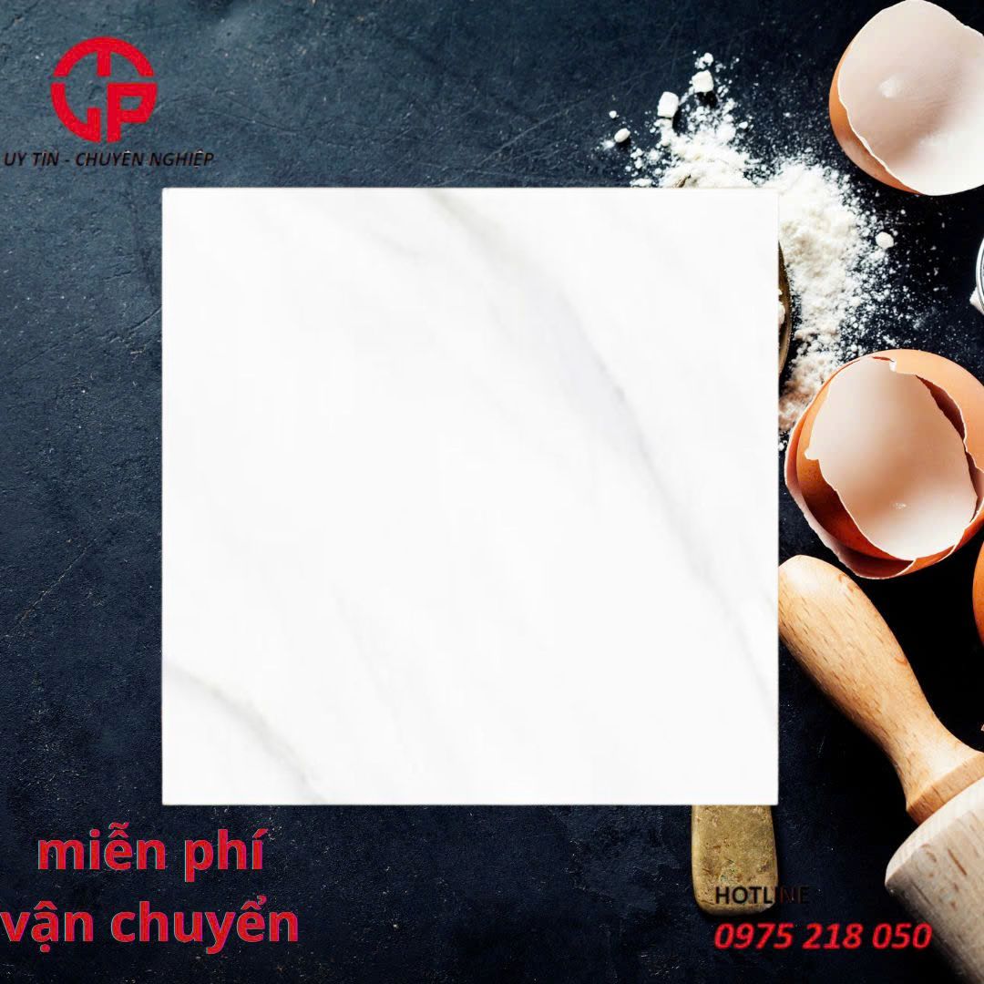 Gạch viglacera 60x60 6602GP 3 205k-gach-viglacera-60x60-6602GP