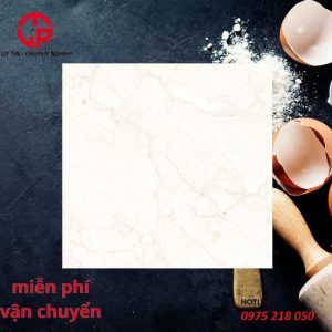 210k-gach-dong-tam-gia-60x60-VAMCODONG005