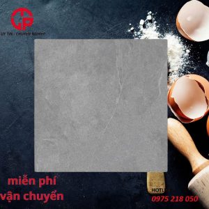 225k-Gach-nham-chong-tron-800x800-Viet-Y-88009