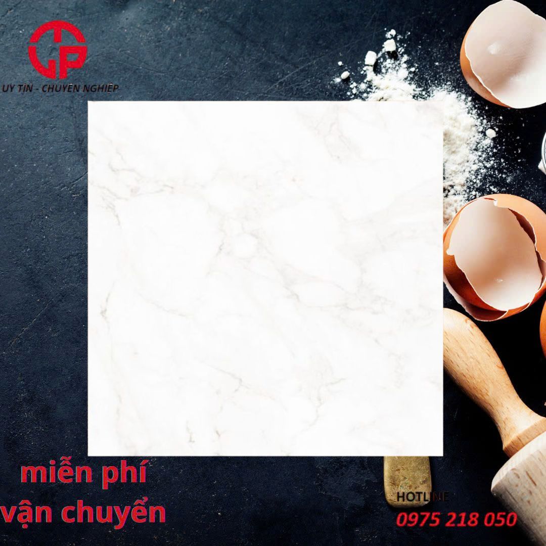 showroom Gạch Đồng Tâm tphcm 60x60 PHARAON001 3 235k-showroom-gach-dong-tam-tphcm-60x60-PHARAON001