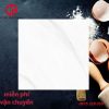 Gạch lát nền Viglacera 80x80 ASD 8802GP 2 260k-Gach-lat-nen-Viglacera-80x80-ASD-8802GP