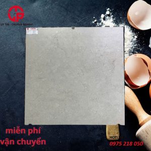 260k-Gach-nham-chong-tron-Taicera-80x80-G88P12JW