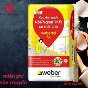 280k-keo-dan-gach-noi-ngoai-that-co-mai-che-webertai-fix