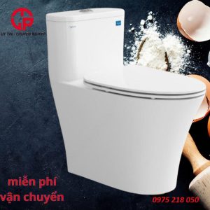 2920k-Bon-cau-viglacera-v829