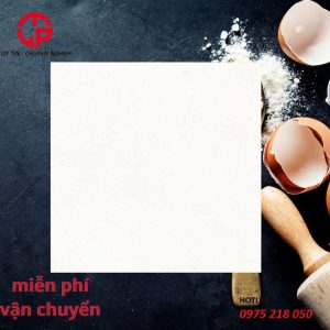 295k-Gach-nham-chong-tron-80x80-dong-tam-NAPOLEON014