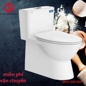 3800k-bon-cau-viglacera-v808