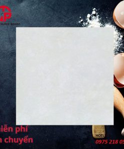 385k-gach-dong-tam-lat-nen-60x60-2-da-PLATINUM001