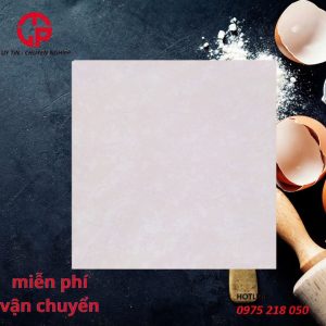 385k-nha-may-gach-dong-tam-60x60-2-da-PLATINUM002