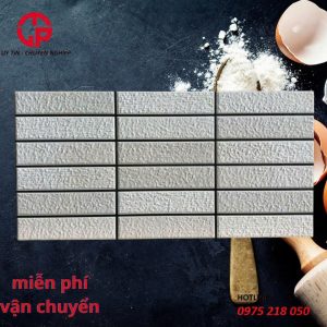 180k-gach-trang-tri-20x40-CP-DAS-2410