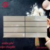 195k-gach-trang-tri-20x40-CP-DAT2426